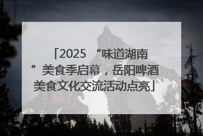 2025 “味道湖南”美食季启幕，岳阳啤酒美食文化交流活动点亮
