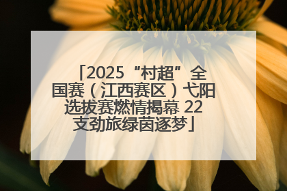 2025“村超”全国赛（江西赛区）弋阳选拔赛燃情揭幕 22支劲旅绿茵逐梦