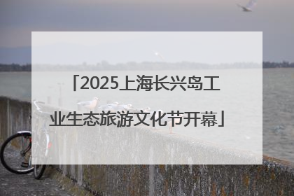 2025上海长兴岛工业生态旅游文化节开幕