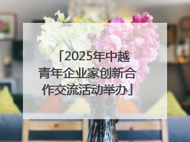 2025年中越青年企业家创新合作交流活动举办