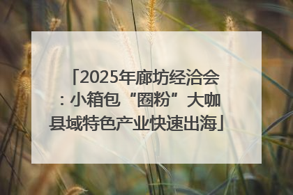 2025年廊坊经洽会：小箱包“圈粉”大咖 县域特色产业快速出海