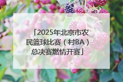 2025年北京市农民篮球比赛（村BA）总决赛燃情开赛