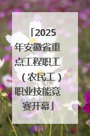 2025年安徽省重点工程职工（农民工）职业技能竞赛开幕