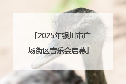 2025年银川市广场街区音乐会启幕