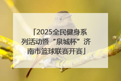 2025全民健身系列活动暨“泉城杯”济南市篮球联赛开赛