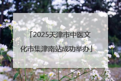 2025天津市中医文化市集津南站成功举办