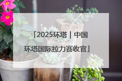 2025环塔｜中国环塔国际拉力赛收官