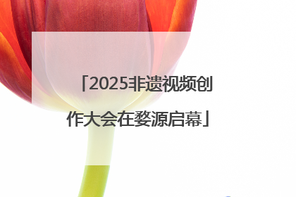 2025非遗视频创作大会在婺源启幕