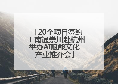 20个项目签约！南通崇川赴杭州举办AI赋能文化产业推介会