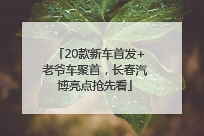 20款新车首发+老爷车聚首，长春汽博亮点抢先看