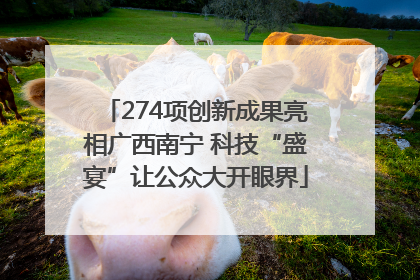 274项创新成果亮相广西南宁 科技“盛宴”让公众大开眼界