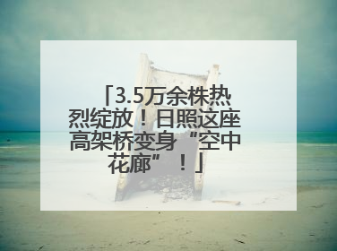 3.5万余株热烈绽放！日照这座高架桥变身“空中花廊”！