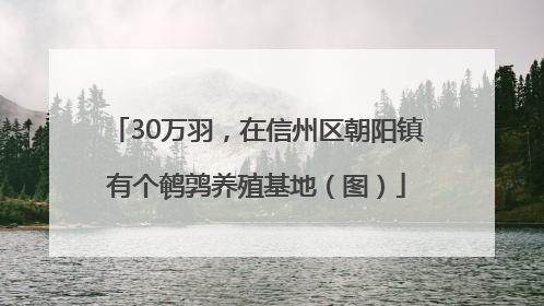 30万羽，在信州区朝阳镇有个鹌鹑养殖基地（图）