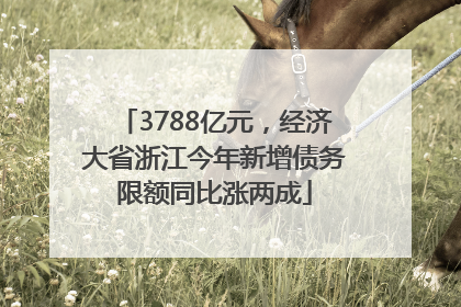3788亿元，经济大省浙江今年新增债务限额同比涨两成