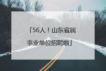 56人！山东省属事业单位招聘啦