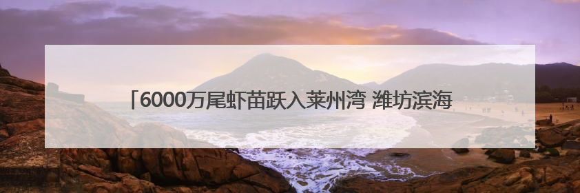 6000万尾虾苗跃入莱州湾 潍坊滨海区启动2025年水生生物增殖放流工作