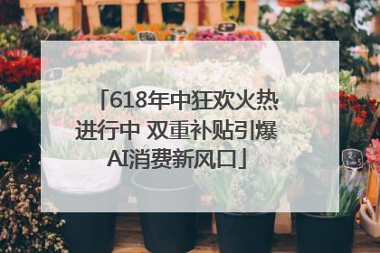618年中狂欢火热进行中 双重补贴引爆AI消费新风口