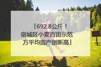 692.8公斤！宿城区小麦百亩示范方平均亩产创新高