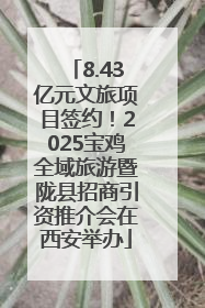 8.43亿元文旅项目签约！2025宝鸡全域旅游暨陇县招商引资推介会在西安举办