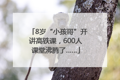 8岁“小孩哥”开讲高铁课，600人课堂沸腾了……