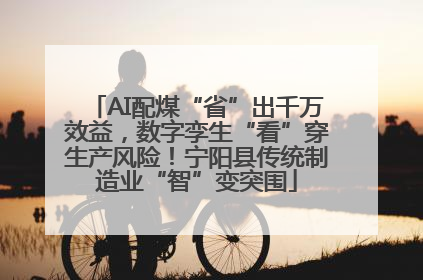 AI配煤“省”出千万效益，数字孪生“看”穿生产风险！宁阳县传统制造业“智”变突围