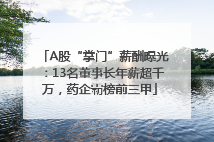 A股“掌门”薪酬曝光：13名董事长年薪超千万，药企霸榜前三甲