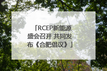 RCEP新能源盛会召开 共同发布《合肥倡议》